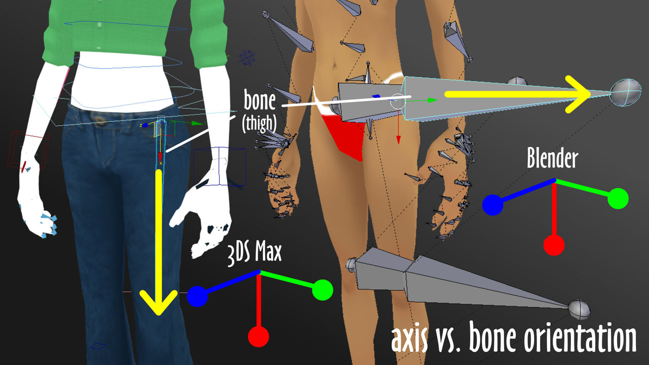 Bones point in different direction in Blender