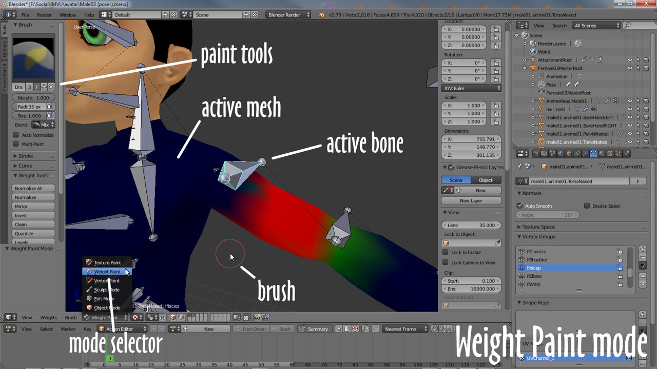 Switching to Weight Paint mode with mesh selected